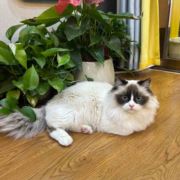 L开心过好每一天