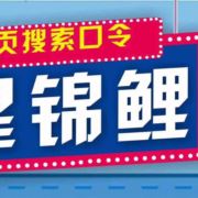 是粉粉呀