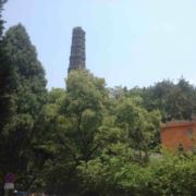 非标套圈生产厂