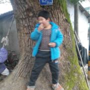 WX~9396544