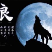 天涯沦落断肠客