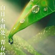 珍惜每一次遇见