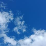 晟哈哈哈哈哈