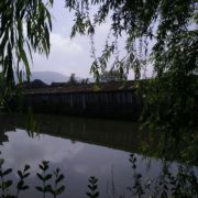 沉默似金岁月如歌