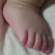 狐狸的金色尾巴