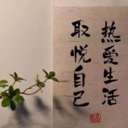 拧巴不了