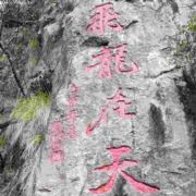 孤独自在222