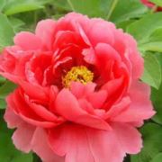 有些风景迷住双眼