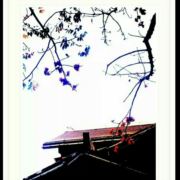 凉了时光空旧城