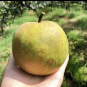 扬帆起航勇往直前