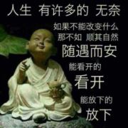 WX~10516419