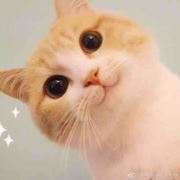 景德镇女仔里162