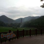 WX~10729603