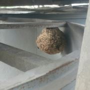 一生中平淡是真啊