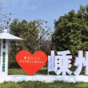 自由的风3661