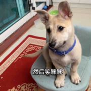 清若婉兮