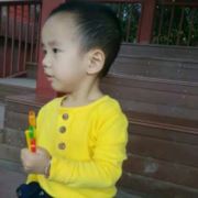 WX~11028313