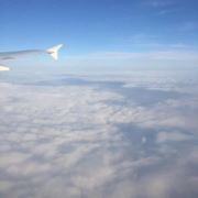 WX~11201517