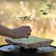 网络道闸显示屏