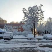 不要对弱智谈真心