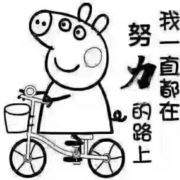 WX~11856345