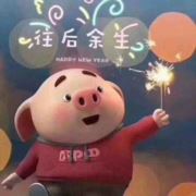 于情于理都不理