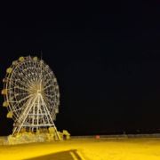 WX~12281815