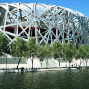 99无为则无所不为