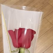 生下来活下去331