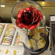 人生若只如初258