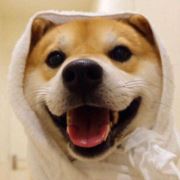 女士你好我姓俞