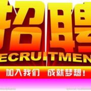 招聘133
