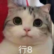 我要玩迷你世界