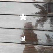 橘子带点那柠檬酸