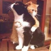 小潘潘一直在奋斗