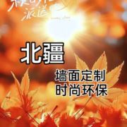 北疆国际艺术壁材