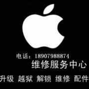 茉莉果冻