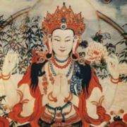 刺玫瑰中医理疗