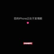 CT~13599304