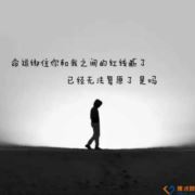 WX~13664162