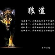 恩智金融