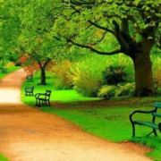 不要看别人脸色