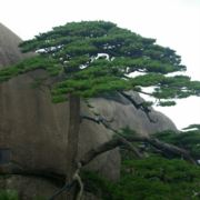 走出来的白米堰人