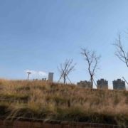 或者家里咯哦图