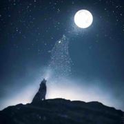 把我灌醉你有机会