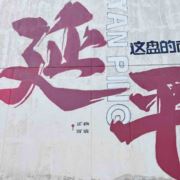 无心恋我