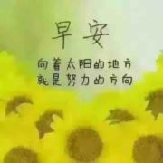 WX~168549400