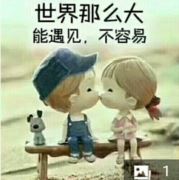 tcy~168866981