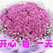 WX~168928901
