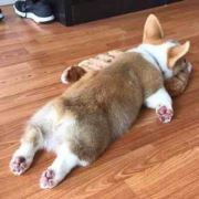 一点点阳光